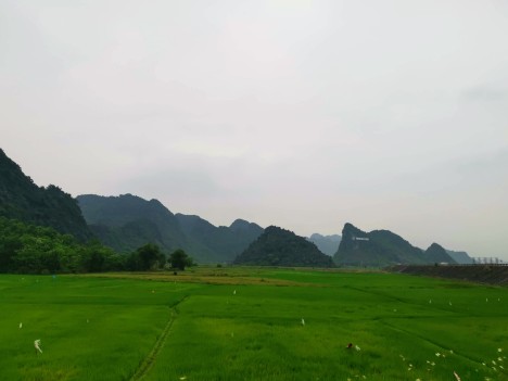 Phong Nha-Ke Bang Milli Parkı